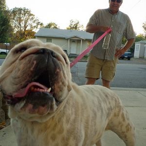 Meet your Posher, Brian